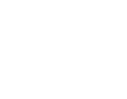 UTG Leapers